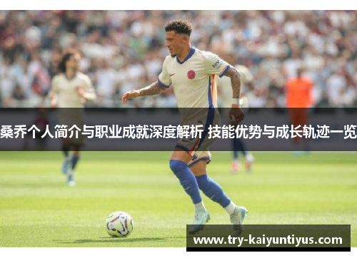 桑乔个人简介与职业成就深度解析 技能优势与成长轨迹一览