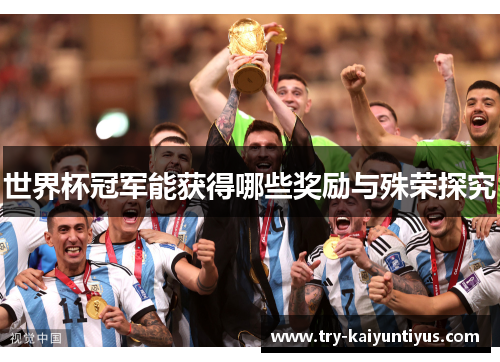 世界杯冠军能获得哪些奖励与殊荣探究