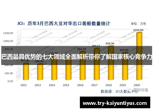 巴西最具优势的七大领域全面解析带你了解国家核心竞争力