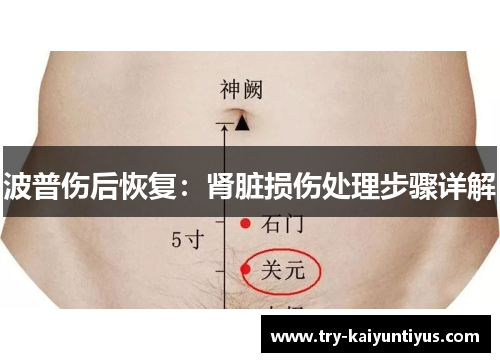 波普伤后恢复：肾脏损伤处理步骤详解