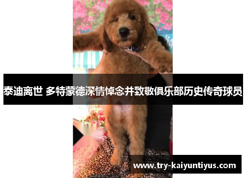 泰迪离世 多特蒙德深情悼念并致敬俱乐部历史传奇球员