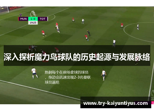 深入探析魔力鸟球队的历史起源与发展脉络