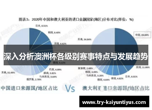 深入分析澳洲杯各级别赛事特点与发展趋势