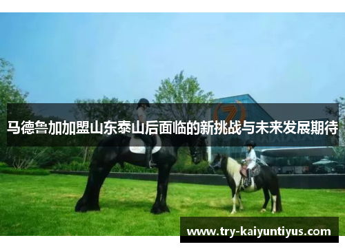 马德鲁加加盟山东泰山后面临的新挑战与未来发展期待