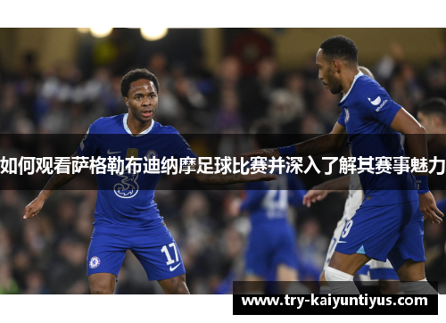 如何观看萨格勒布迪纳摩足球比赛并深入了解其赛事魅力