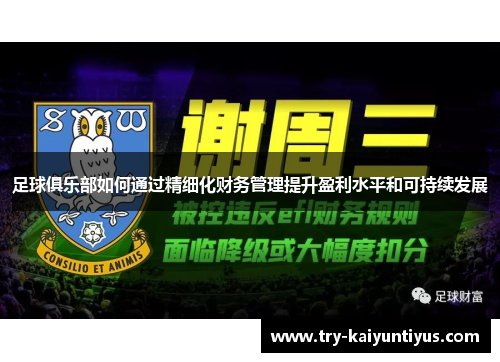 足球俱乐部如何通过精细化财务管理提升盈利水平和可持续发展 足球俱乐部如何通过精细化财务管理提升盈利水平和可持续发展